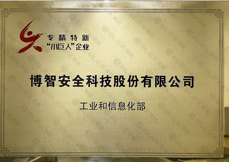 专精特新“小巨人”企业